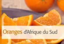 Des oranges africaines dans le viseur de l’Union Européenne