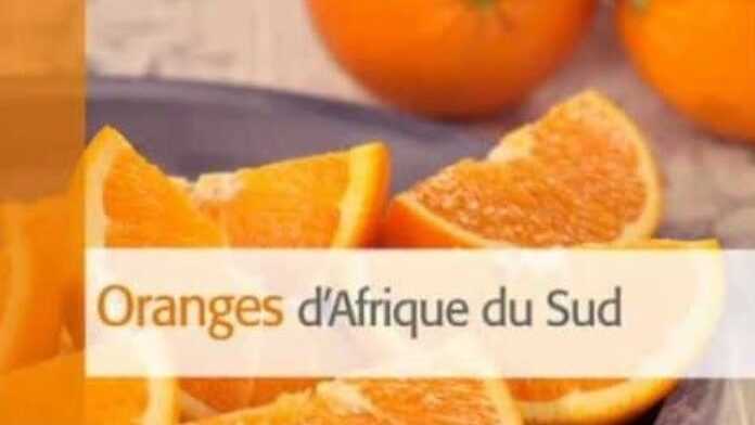 orange d'afrique