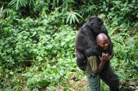 Virunga
