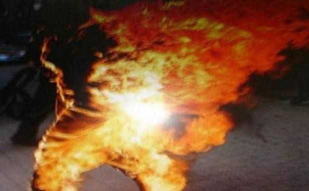 immolation_0