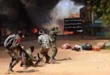 Mali : plusieurs soldats tués dans une embuscade terroriste