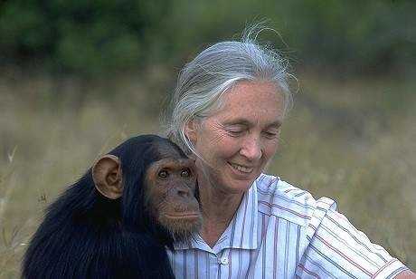 Jane Goodal