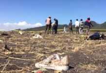 Crash du vol Ethiopian Airlines : les Boeings 737 Max 8 cloués au sol dans plusieurs pays