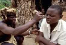 Zoom sur la médecine traditionnelle au Cameroun