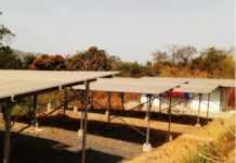 Orange : 10 000 sites télécoms passent au solaire Orange : 10 000 sites télécoms passent au solaire