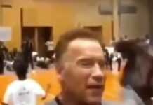 Arnold Schwarzenegger attaqué en Afrique du Sud : comme un moustique qui pique un rhinocéros
