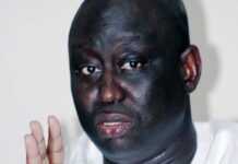 Sénégal, Vidéos : le scandale « Aliou Sall », frère du Président Macky Sall