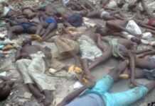 Nigeria : Boko Haram vise des supporteurs de football et fait 30 morts