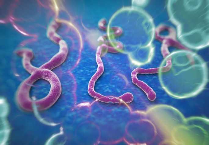 Ghana : la méthode anti-Ebola de mise face au Coronavirus