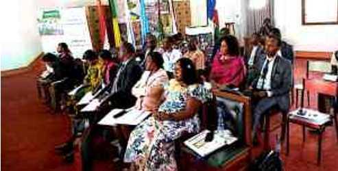 cadre cameroun