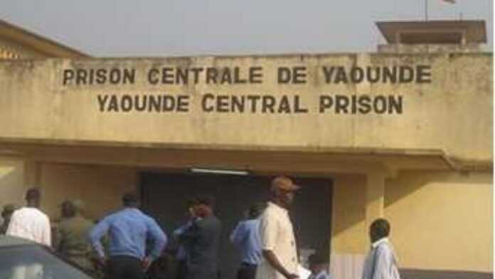 prison cameroun