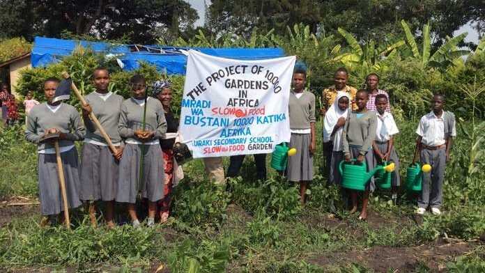 slow food gardens in africa