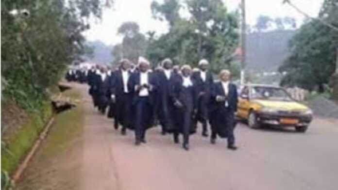 manifestation avocats Cameroun