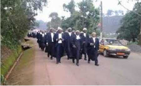 manifestation avocats Cameroun