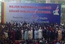 Cameroun : le grand dialogue national comme l’ultime voie de sortie de la crise anglophone