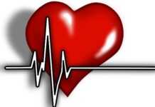 Niger : une campagne de cardiologie interventionnelle gratuite débute à Niamey Niger : une campagne de cardiologie interventionnelle gratuite débute à Niamey