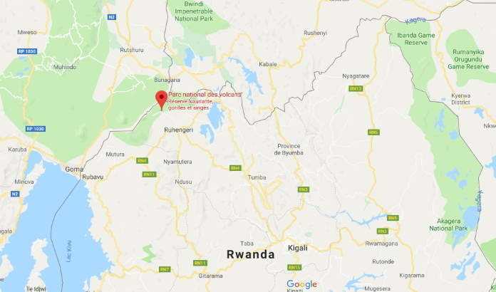 parc national des volcans Rwanda