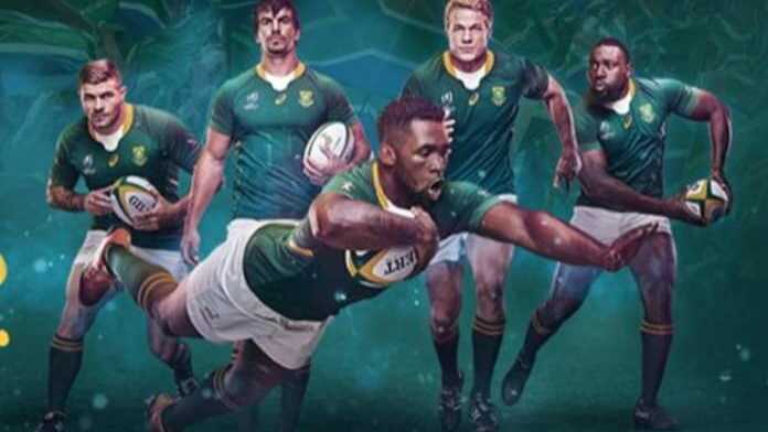 springboks