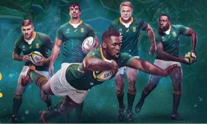 springboks
