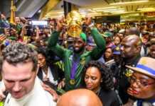 Afrique du Sud : les Springboks accueillis en héros