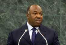 Ali Bongo, Président du Gabon