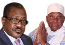 Sénégal : crise au PDS, Me Wade vire Oumar Sarr et se rapproche de Me Madické Niang Sénégal : crise au PDS, Me Wade vire Oumar Sarr et se rapproche de Me Madické Niang