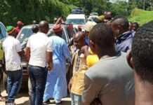 Cameroun : des militants du MRC persécutés dans leur propre pays