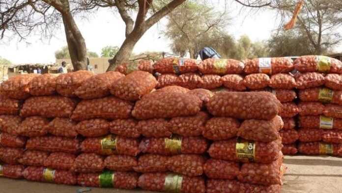 Oignons Mauritanie