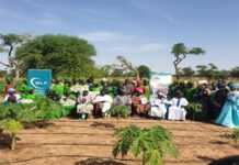 Sénégal : le périmètre maraîcher qui a révolutionné le village Ndiéfoune Parba