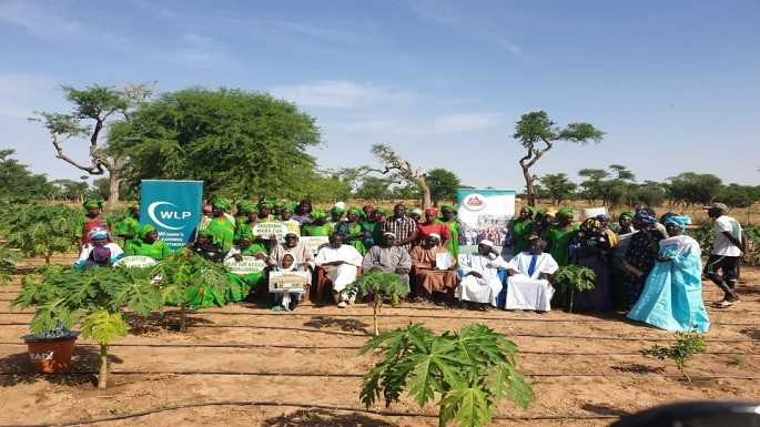 Propagation du virus : des villages sénégalais défient le Covid-19