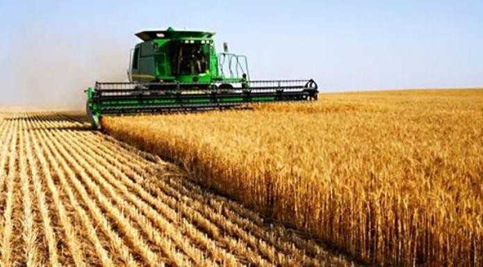 Mali : une innovation agricole permet d'économiser 80% de l'eau utilisée dans les plantations