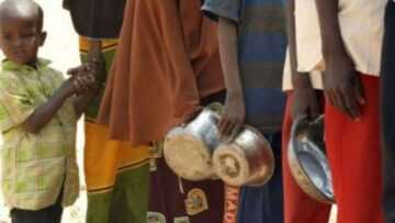 Somalie : l’Union européenne débloque 63 millions d’euros d’aide humanitaire face à la sécheresse et la crise alimentaire La famine en Afrique