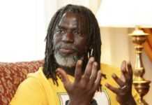 Tiken Jah Fakoly, artiste