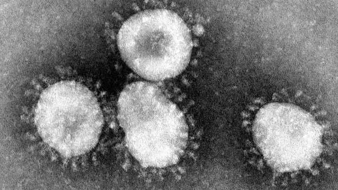 Coronaviruses @wikipedia