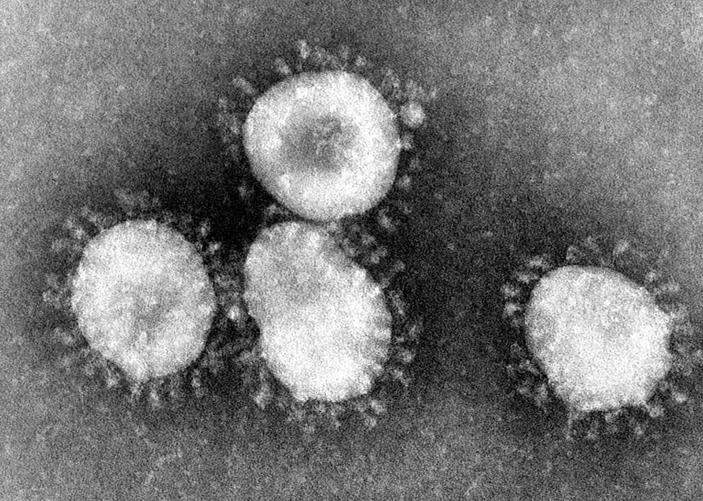 Coronavirus en Tunisie : plus de 2 000 personnes isolées et surveillées