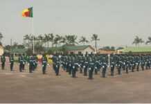 Cameroun : sortie de la 37e promotion de l’Ecole Militaire Inter Armées