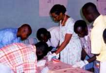 Nigeria : la fièvre Lassa a causé 29 décès en janvier Nigeria : la fièvre Lassa a causé 29 décès en janvier