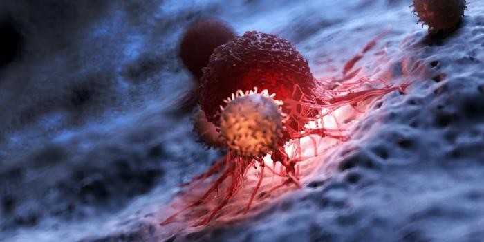 Niger : le cancer en hausse depuis 2012