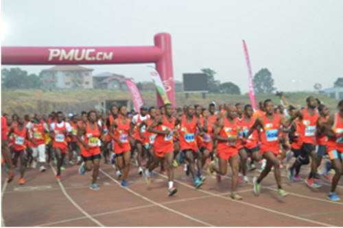 Plus de 500 athlètes ont pris part à la 25e édition de l'Ascension du Mont Cameroun