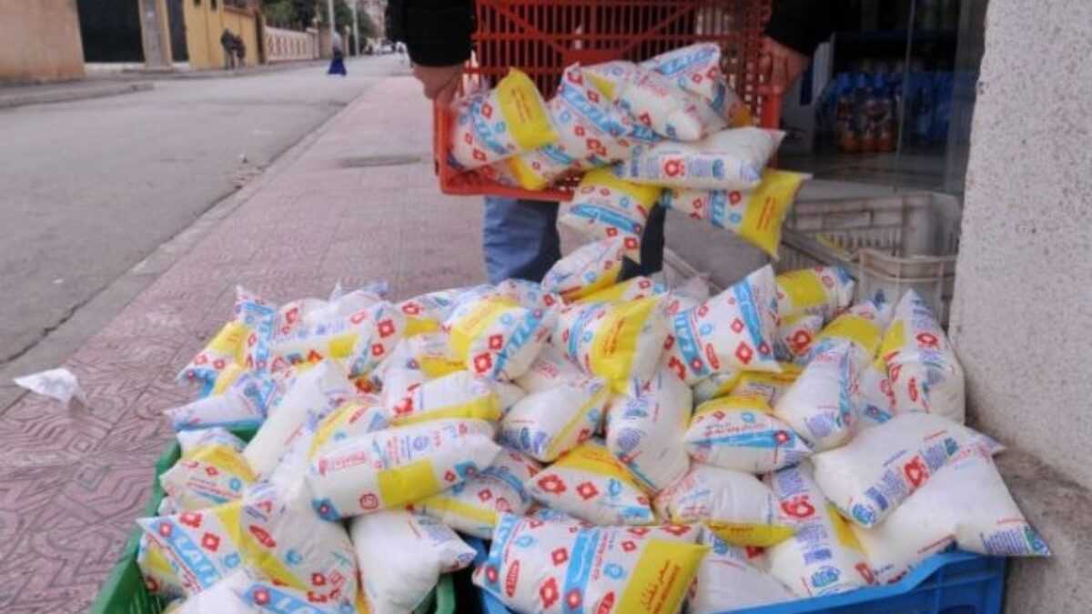 Lait marocain, colère espagnole : quand la crise agricole pousse Madrid vers le Sud