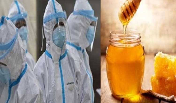 Coronavirus : des traditionnels sénégalais proposent un remède à base de miel