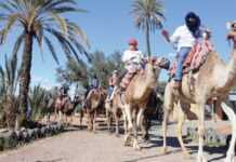 Treize millions de touristes au Maroc : France et Espagne, champions à Marrakech et Agadir !