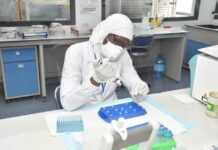 Coronavirus : le Sénégal franchit largement la barre des 100 cas positifs, Dakar détrône Touba Coronavirus : le Sénégal franchit largement la barre des 100 cas positifs, Dakar détrône Touba