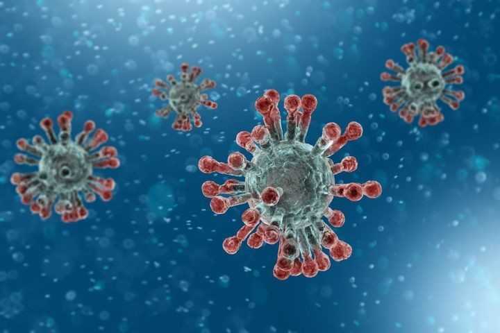 Coronavirus : États membres de l'Union africaine déclarant des cas de COVID-19 le 16 juillet 2020 18h 