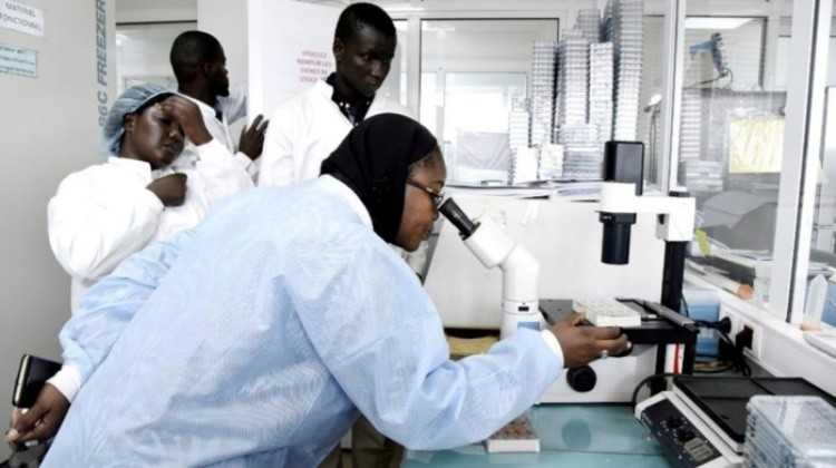 Coronavirus : en 48h, la Guinée enregistre 69 nouveaux cas et franchit la barre des 300