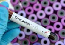 Coronavirus