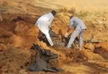 Côte d’Ivoire : des ossements humains retrouvés dans une forêt