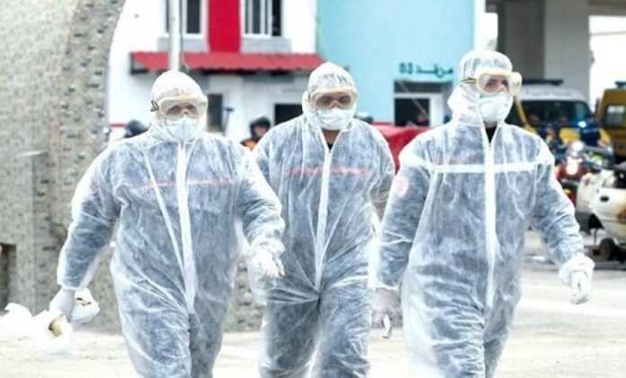 coronavirus-1 Alger
