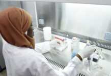Togo : dépistage systématique des élèves provenant des pays voisins