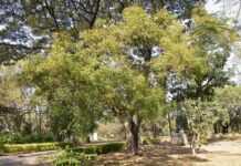 Lire aussi 2 Lire aussi 2